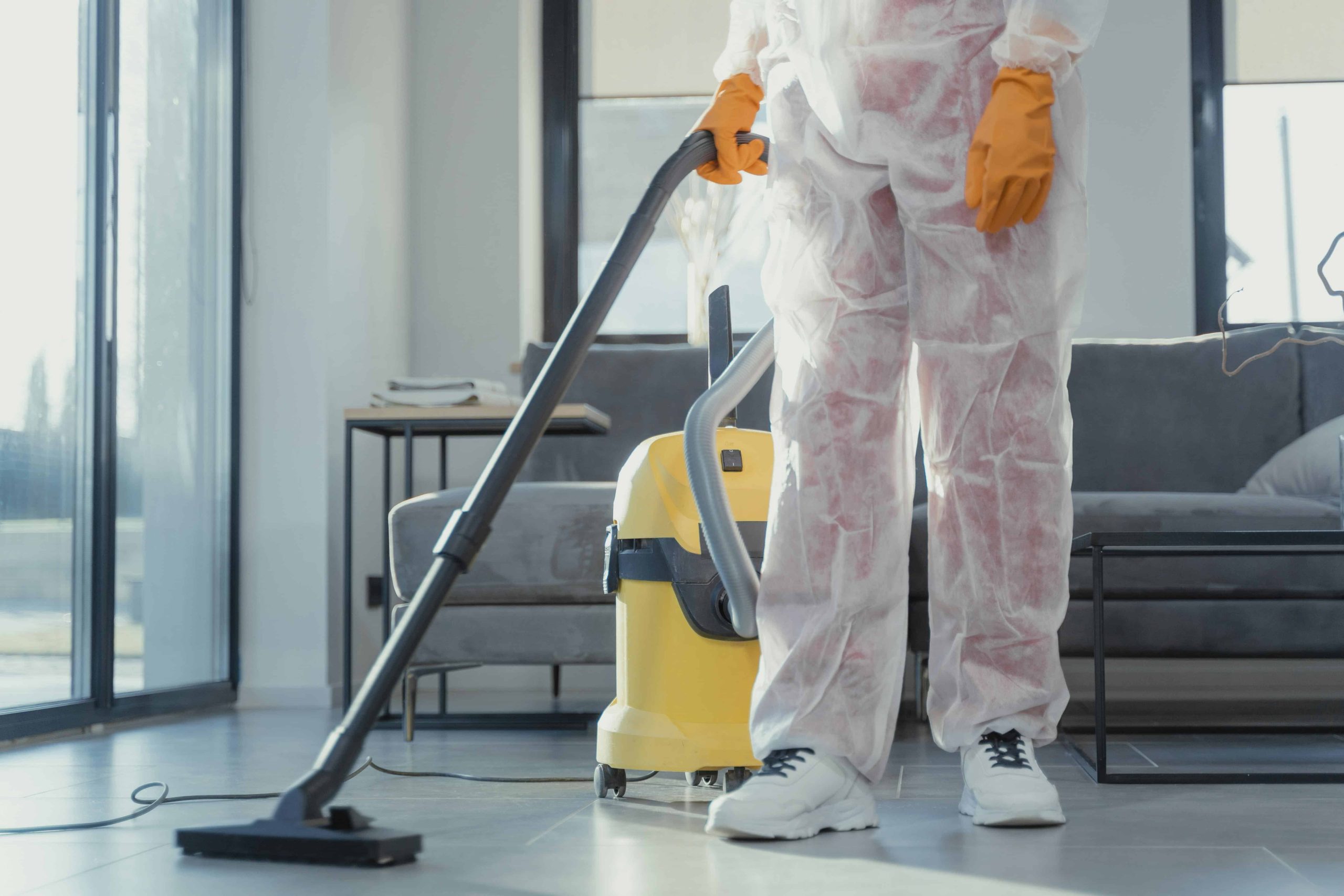 Why Choose Professional Cleaners in North West Tasmania