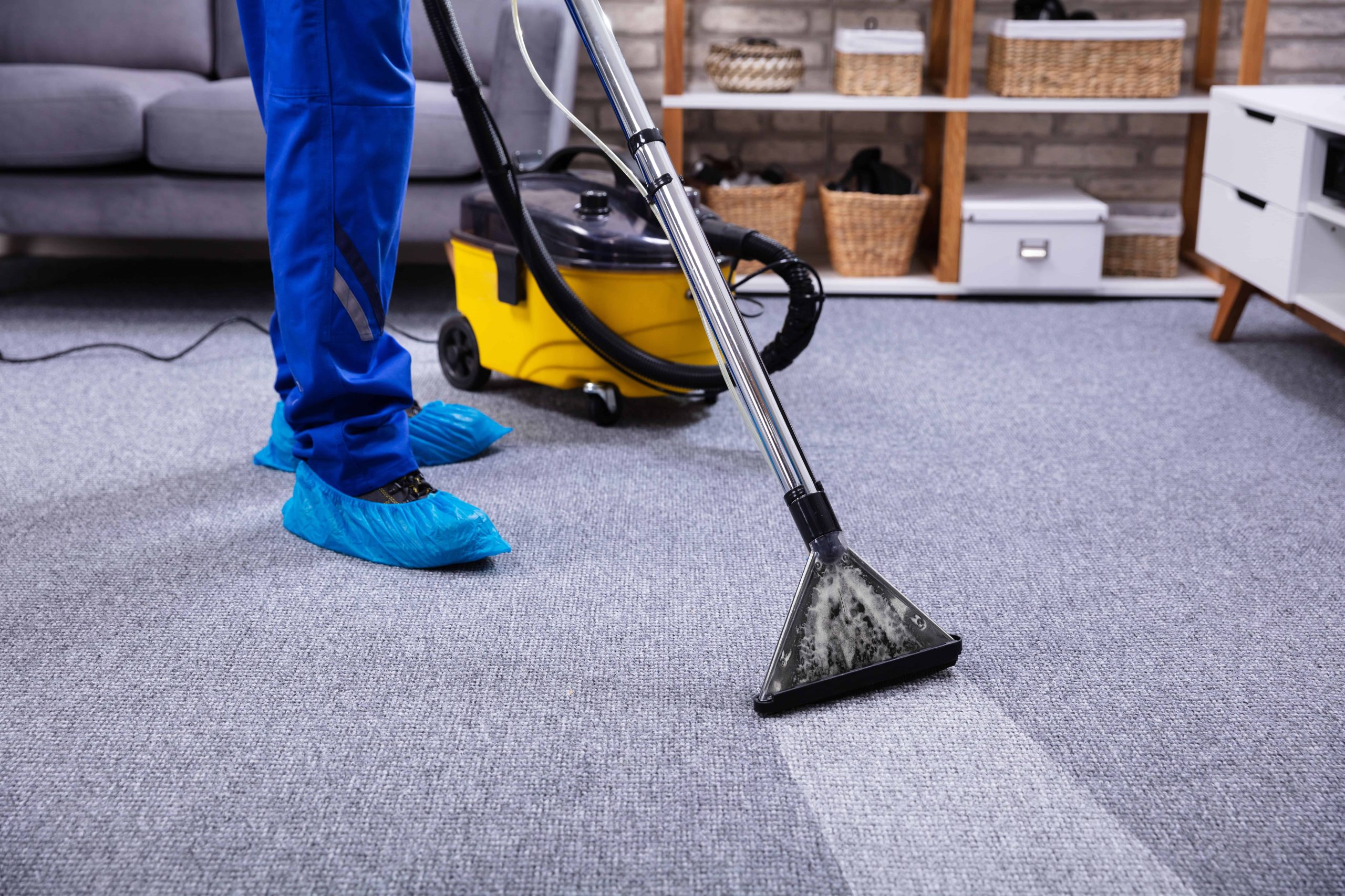 Can carpet cleaning help eliminate allergens and mould