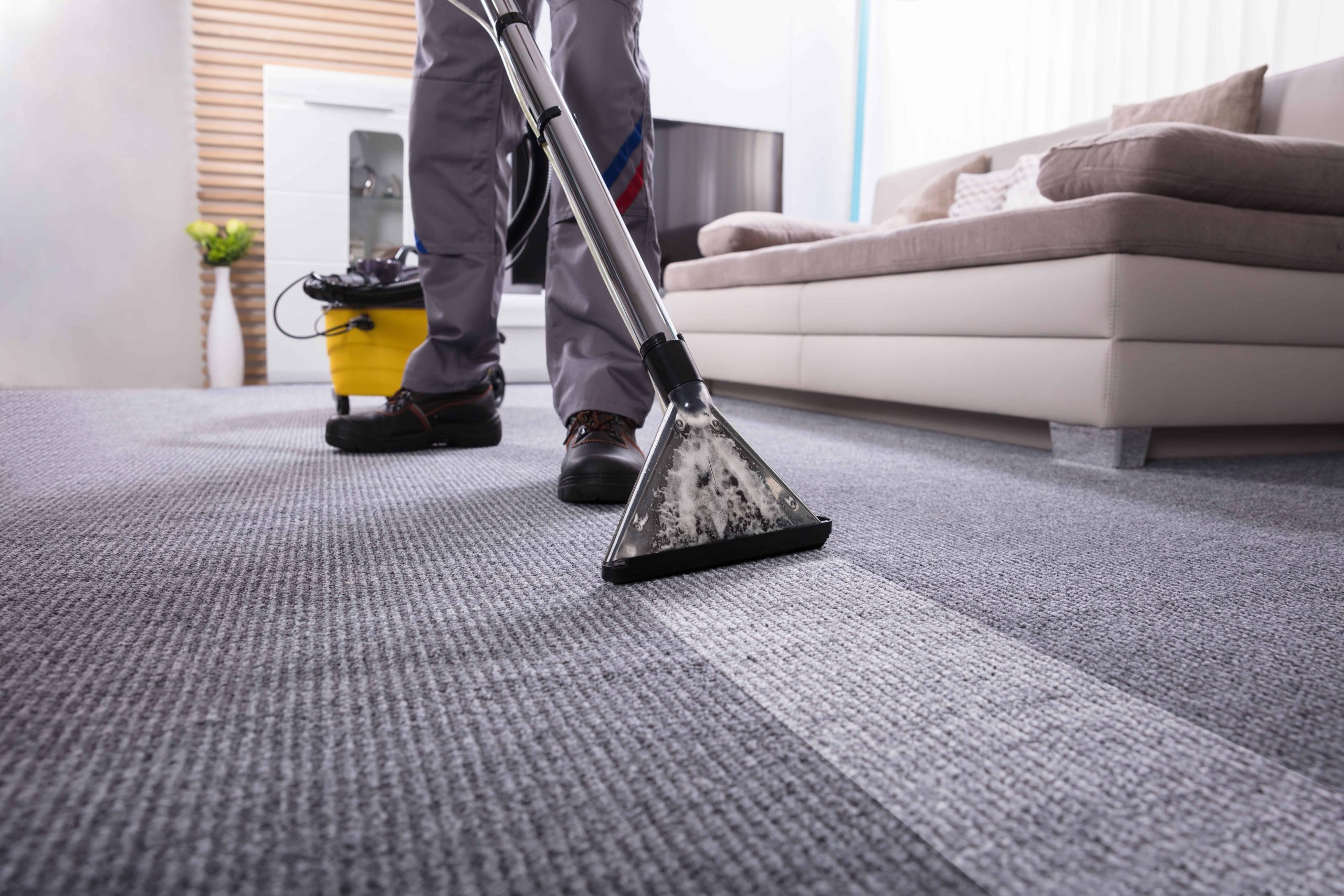 Carpet Cleaning Services Tips to Remove Stains and Odours Fast