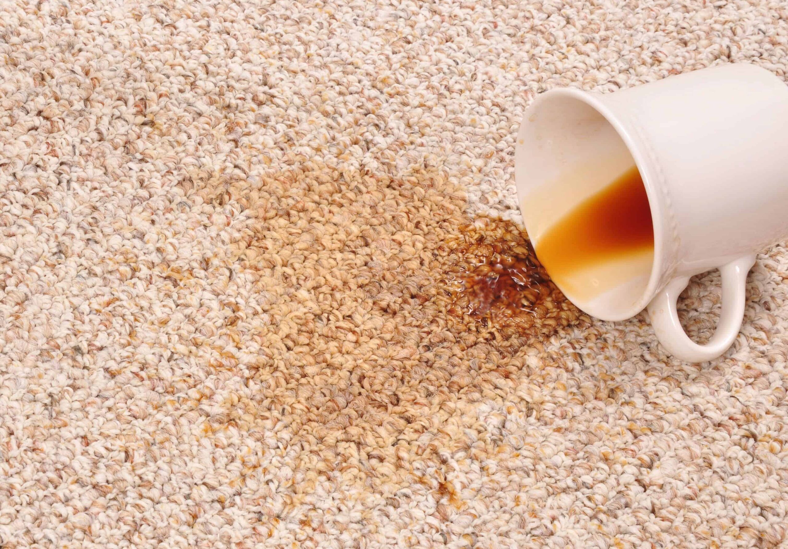 What Are the Best Methods for Set-In Stains